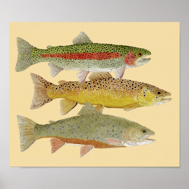 Rainbow,Brown & Brook Trout on Colorful background Poster (Front)