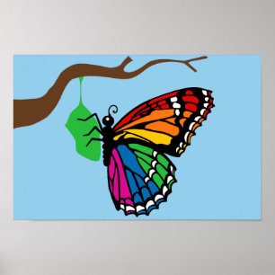 Rainbow Butterfly Emerging From Chrysalis Poster