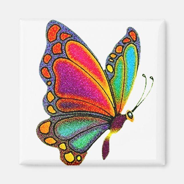 Rainbow Butterfly Magnet (Front)