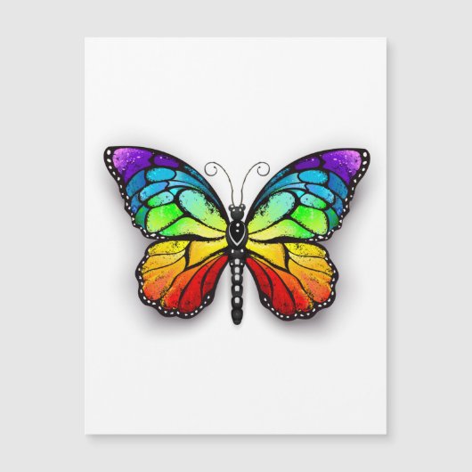 Rainbow butterfly Monarch (Front)