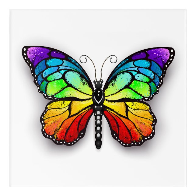 Rainbow butterfly Monarch Acrylic Print (Front)