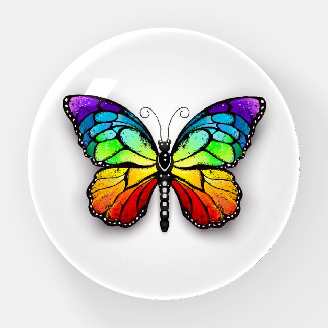 Rainbow butterfly Monarch Paperweight (Front)