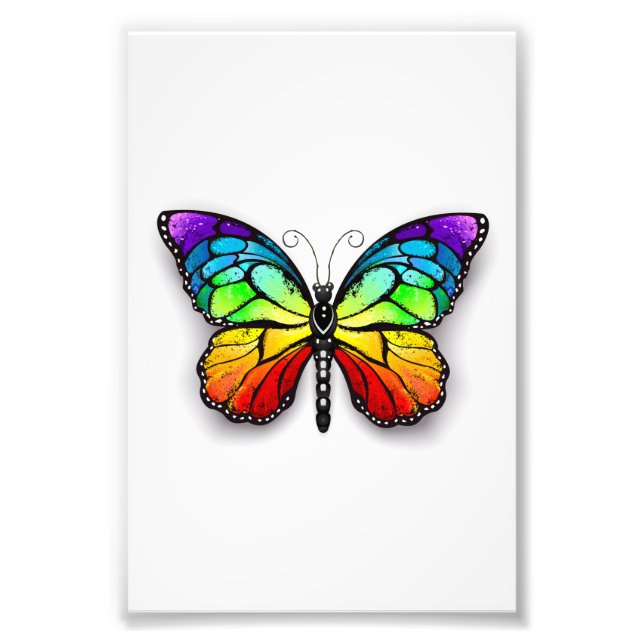 Rainbow butterfly Monarch Photo Print (Front)