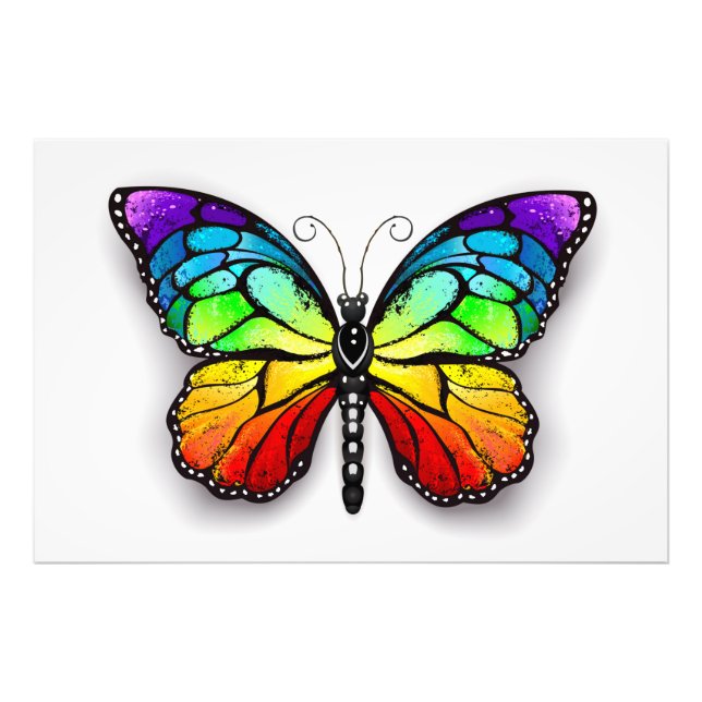 Rainbow butterfly Monarch Photo Print (Front)