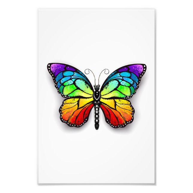 Rainbow butterfly Monarch Photo Print (Front)