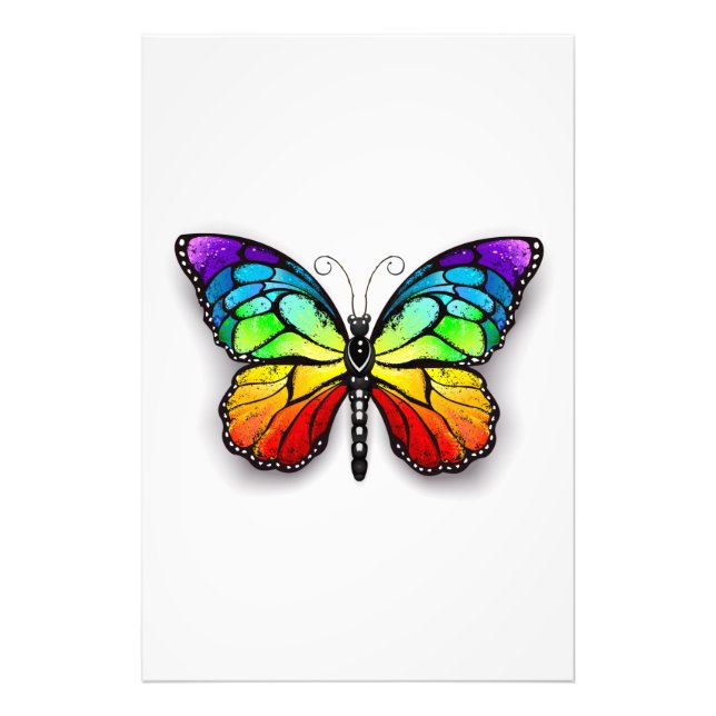 Rainbow butterfly Monarch Photo Print (Front)