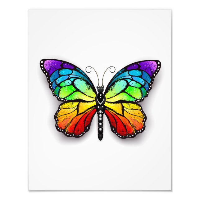 Rainbow butterfly Monarch Photo Print (Front)