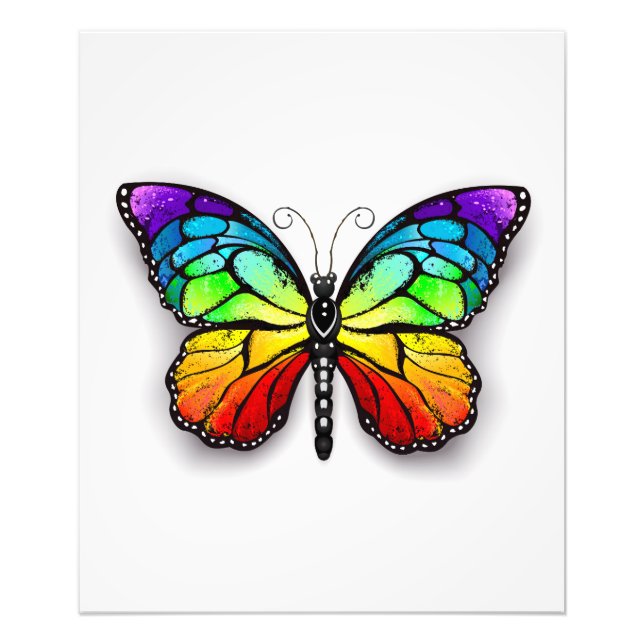 Rainbow butterfly Monarch Photo Print (Front)