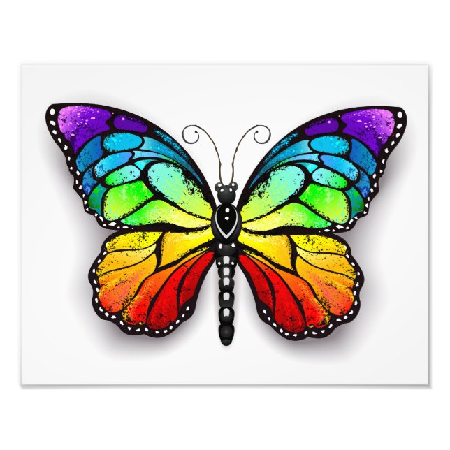 Rainbow butterfly Monarch Photo Print (Front)