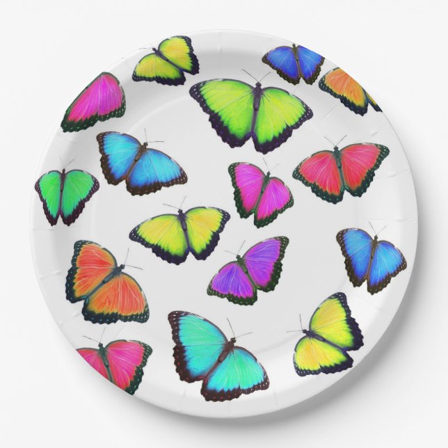 Rainbow Butterfly Paper Plates (Front)