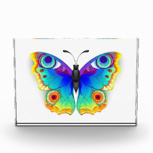 Rainbow Butterfly Peacock Eye Acrylic Award