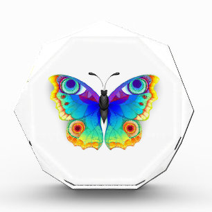 Rainbow Butterfly Peacock Eye Acrylic Award