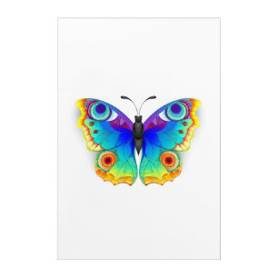 Rainbow Butterfly Peacock Eye Acrylic Print