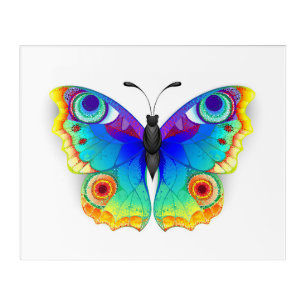 Rainbow Butterfly Peacock Eye Acrylic Print