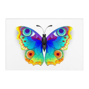 Rainbow Butterfly Peacock Eye Acrylic Print
