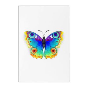 Rainbow Butterfly Peacock Eye Acrylic Print