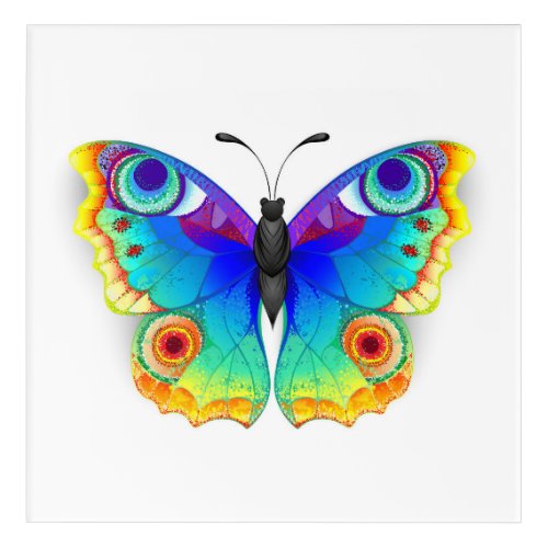 Rainbow Butterfly Peacock Eye Acrylic Print