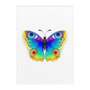 Rainbow Butterfly Peacock Eye Acrylic Print