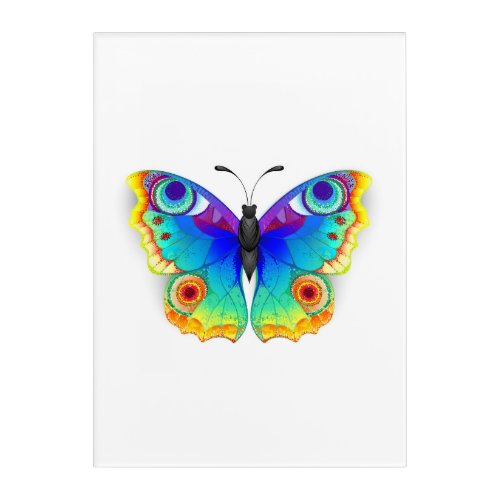 Rainbow Butterfly Peacock Eye Acrylic Print