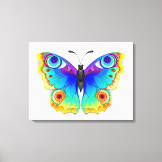 Rainbow Butterfly Peacock Eye Canvas Print