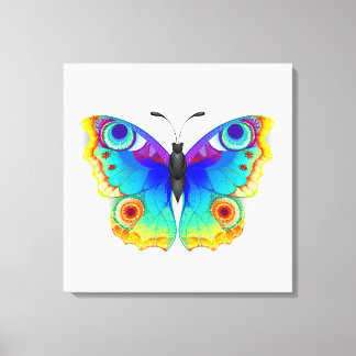 Rainbow Butterfly Peacock Eye Canvas Print