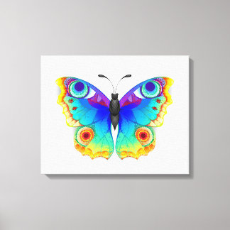 Rainbow Butterfly Peacock Eye Canvas Print