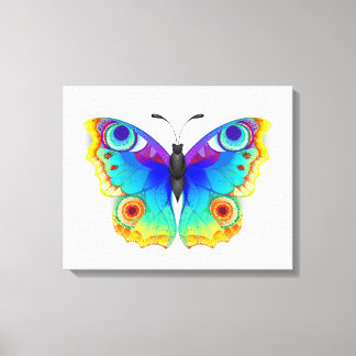 Rainbow Butterfly Peacock Eye Canvas Print