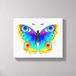 Rainbow Butterfly Peacock Eye Canvas Print