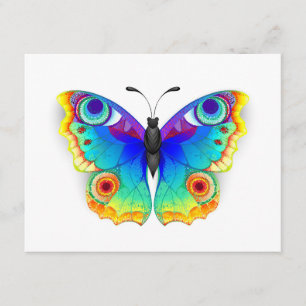Rainbow Butterfly Peacock Eye Enclosure Card