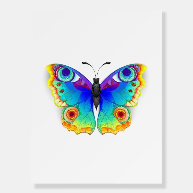 Rainbow Butterfly Peacock Eye Foam Board (Front)