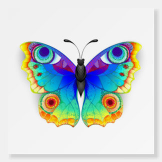 Rainbow Butterfly Peacock Eye Foam Board