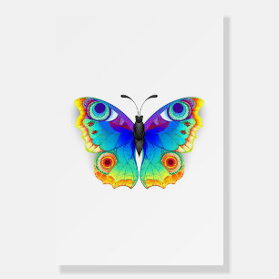 Rainbow Butterfly Peacock Eye Foam Board