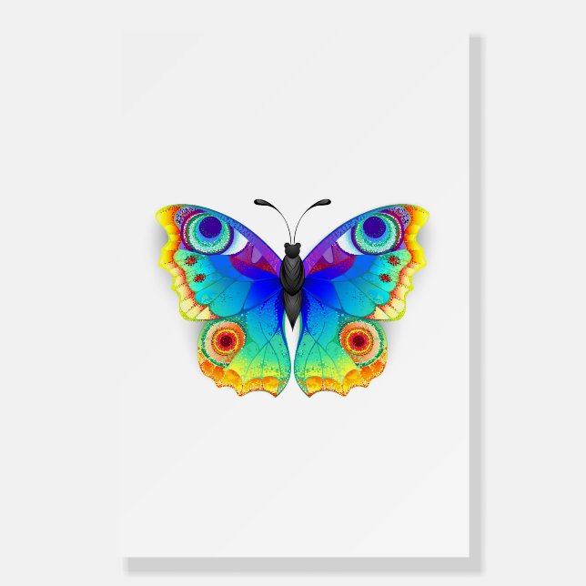 Rainbow Butterfly Peacock Eye Foam Board (Front)