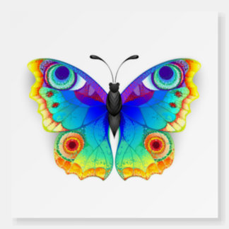 Rainbow Butterfly Peacock Eye Foam Board