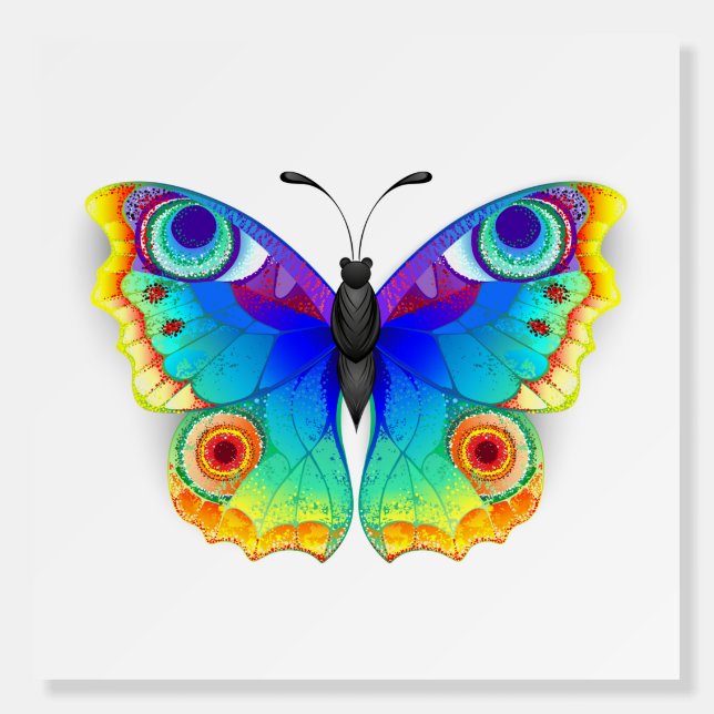 Rainbow Butterfly Peacock Eye Foam Board (Front)