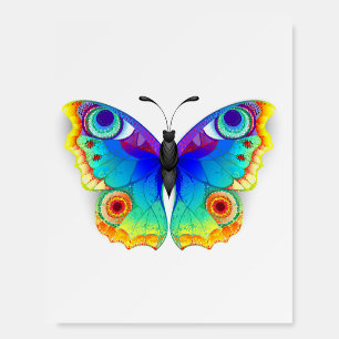 Rainbow Butterfly Peacock Eye Foam Board