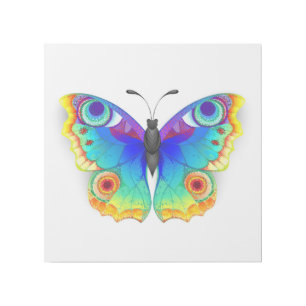 Rainbow Butterfly Peacock Eye Gallery Wrap