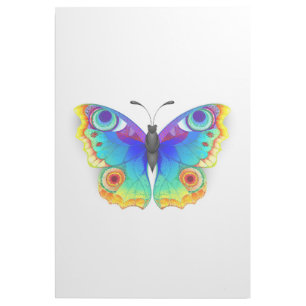 Rainbow Butterfly Peacock Eye Gallery Wrap