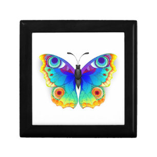 Rainbow Butterfly Peacock Eye Gift Box