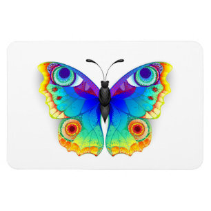 Rainbow Butterfly Peacock Eye Magnet