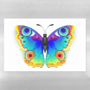 Rainbow Butterfly Peacock Eye Magnetic Dry Erase Sheet