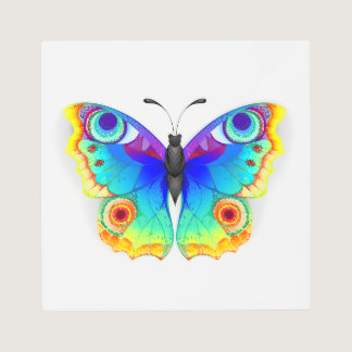 Rainbow Butterfly Peacock Eye Metal Print