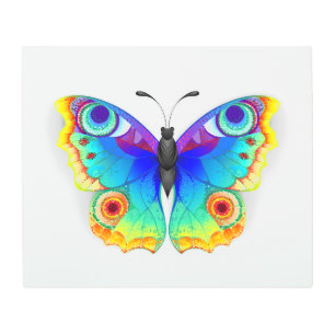 Rainbow Butterfly Peacock Eye Metal Print