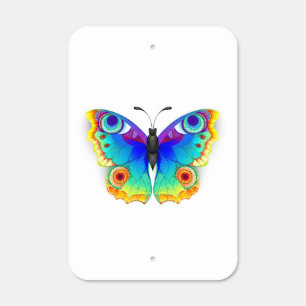 Rainbow Butterfly Peacock Eye Metal Sign