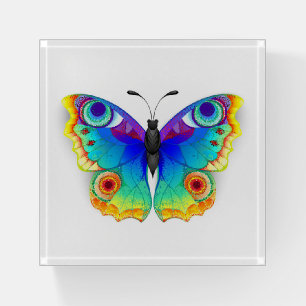 Rainbow Butterfly Peacock Eye Paperweight