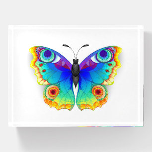 Rainbow Butterfly Peacock Eye Paperweight