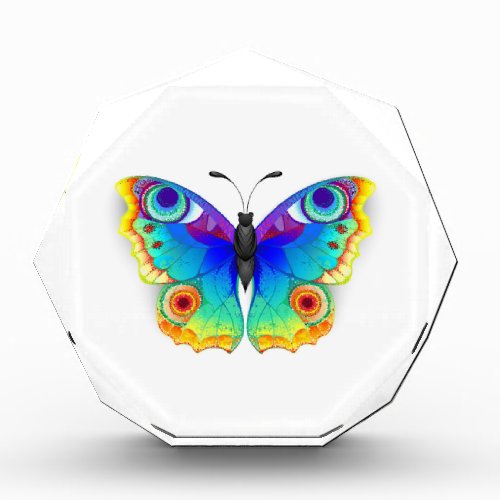 Rainbow Butterfly Peacock Eye Photo Block