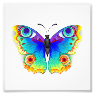 Rainbow Butterfly Peacock Eye Photo Print