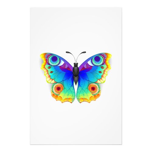 Rainbow Butterfly Peacock Eye Photo Print