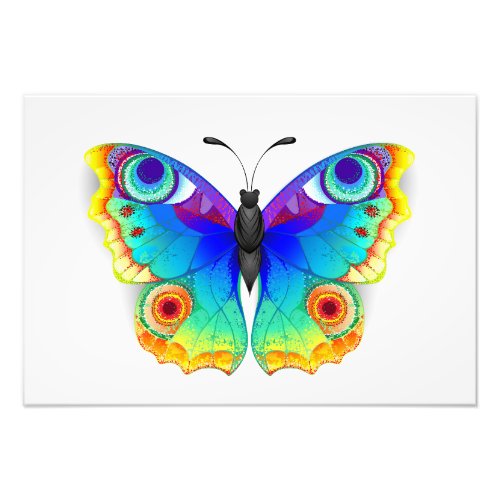 Rainbow Butterfly Peacock Eye Photo Print